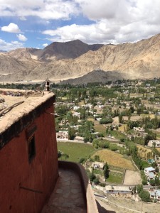 View of the green side of Leh valley, looking west from Fort Temso. A plane tilting up towards Kargung La, Chubi and ?, the vegetation follows the channeled streams of Leh back toward their source.