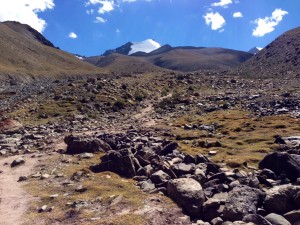 Latter half of day one, a fairly representative photo of the trail up to the camps at 17 and 18.5k ft. Pikers and lots of Marmots.