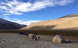 Camping very high.