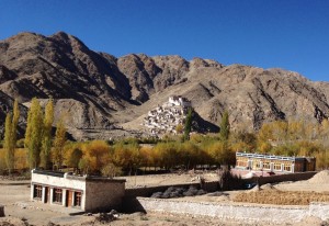 Along paved road east of Karu, the village Chemne and monastery set atop a hillock in the background. In the foreground right, a glorious example of the architecture typical to Ladakh, with mud-brick, stone for load bearing supports, infilled with light (and uninsulated) timber framed casement windows. The detail of the headers is intricate; even new, noticeably machine cut wood work has a particular dental-like molding. The roof is constructed using hundreds of [willow] branches with exposed, corded ends, and often, outside of Leh, the roof is further insulated with a store of stacked hey.