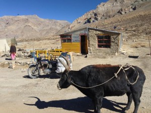 One of about 30 similar structures, this woman operates a "hotel" and offers coffee and food from the roadside as I pass through Sarchu mid-morning of day two of the Leh to Manali Highway. Outside, it is warm in the sun, with a steady cool wind that reminds you of what the night can bring if left exposed.